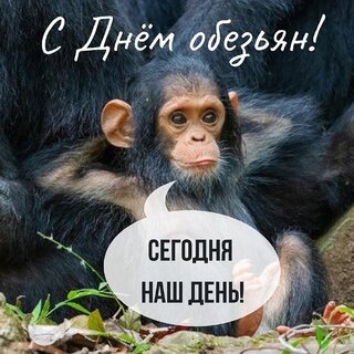 Открытка - Обезьяна - секретарь Реклама телефона..