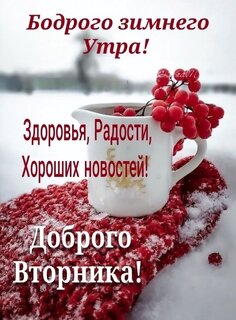 bodrogo-zimnego-utra-vtornika.jpg?z=342