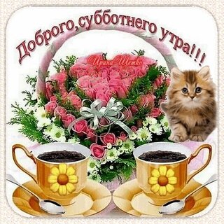 dobrogo-subbotnego-utra.jpg?z=157