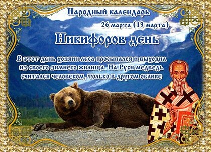 Трансферные новости