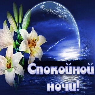Доброй ночи картинки красивые цветы