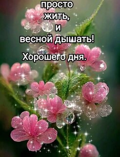 prosto-zhit-vesnoj-dyshat-xoroshego-dnya.jpg?z=71