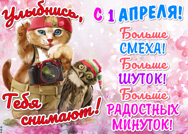 ulybnis-s-1-aprelya-bolshe-smexa-bolshe-shutok-bolshe-teba-snimayut-radostnyx-minutokt.gif