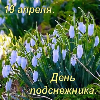 Нежные подснежники. Открытка 8 марта