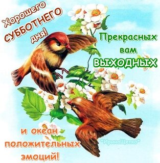 prekrasnyx-vam-vyxodnyx-i-okean-polozhitelnyx-emocij.jpg?z=129