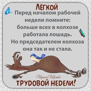 legkoj-trudovoj-nedeli.jpg?z=109