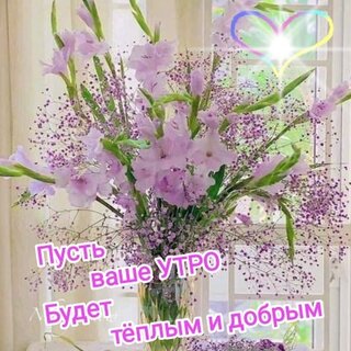 pust-utro-budet-t-plym-i-dobrym.jpg?z=84