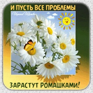 i-pust-vse-problemy-zarastut-romashkami.jpg?z=231
