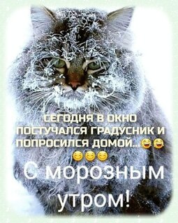 мороз утро Открытки морозное утро