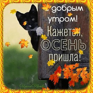 dobrym-utrom-kazhetsya-osen-prishla.jpg?z=243