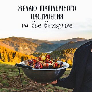 zhelayu-shashlychnogo-nastroeniya-na-vse-vyxodnye.jpg?z=262
