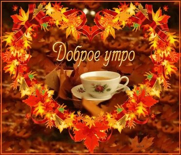 dobroe-utro.jpg?z=283