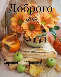 dobrogo-dnya-xoroshego-nastroeniya.jpg?z=273