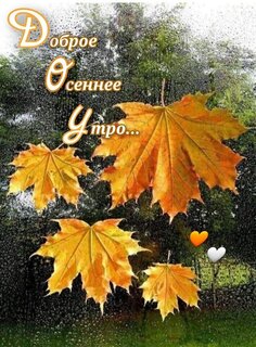 dobroe-osennee-utro.jpg?z=293