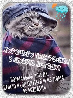 xoroshego-nastroeniya-v-lyubuyu-pogodu.jpg?z=293