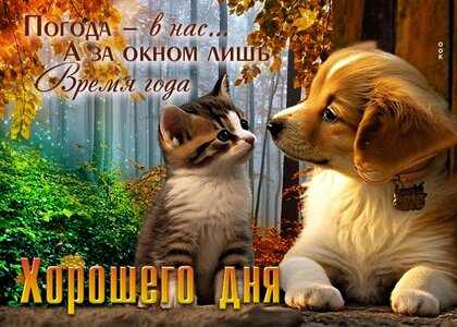 pogoda-v-nas-a-za-oknom-lish-vremya-goda.jpg?z=264