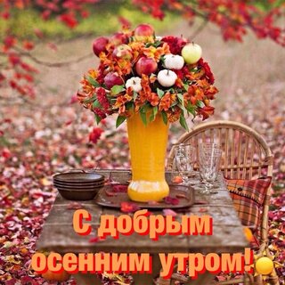 s-dobrym-osennim-utrom.jpg?z=243