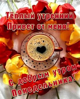 t-plyj-utrennij-privet-ot-menya-s-dobrym-utrom-ponedelnika.jpg?z=292