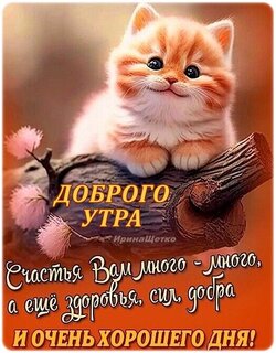 Открытки: Доброго Утра!