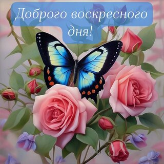 dobrogo-voskresnogo-dnya.jpg?z=228