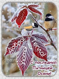 s-poslednej-pyatnicy-oseni-dobra-tepla-uyuta.jpg?z=331