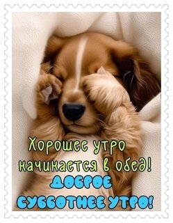 dobroe-subbotnee-utro.jpg?z=129