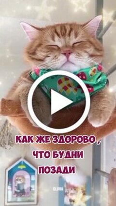 Красивые открытки бесплатно на WhatsApp, Viber, в Одноклассники