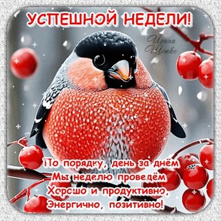 uspeshnoj-nedeli-po-poryadku-den-za-dnem.jpg?z=341