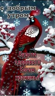 s-dobrym-utrom-budte-zdorovy-to-bogom-xranimy.jpg?z=348