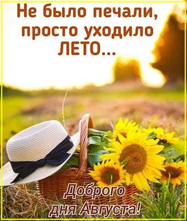 dobrogo-dnya-avgusta.jpg?z=237