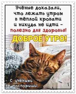 dobroe-utro.jpg?z=23