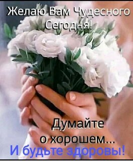 zhelayu-vam-chudesnogo-segodnya-dumajte-o-xoroshem-i-budte-zdorovy.jpg?z=35