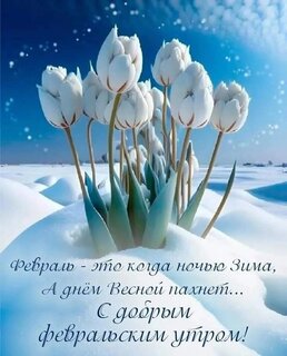 fevral-eto-kolda-nochyu-zima-a-dn-m-vesnoj-paxnet-s-dobrym-fevralskim-utrom.jpg?z=33