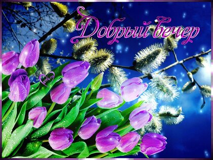 Открытки добрый весенний вечер