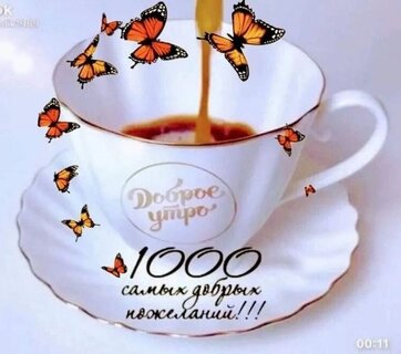 dobroe-utro-1000-samyx-dobryx-pozhelanij.jpg?z=135