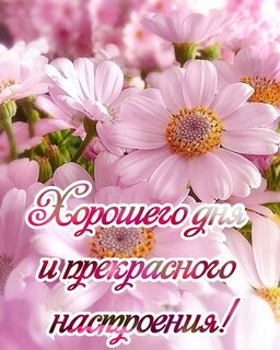 xoroshego-dnya-i-prekrasnogo-nastroeniya.jpg?z=84