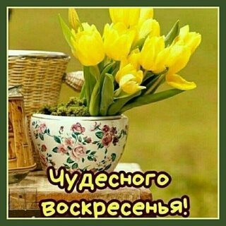 chudesnogo-voskresenya.jpg?z=130