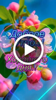 ☕ Открытки «Доброе Утро», Картинки «Доброе Утро»- Скачать бесплатно на favoritgame.ru