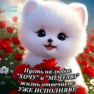 Открытки хочу тебя