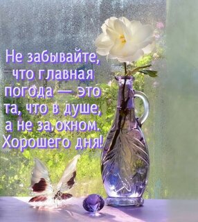 ne-zabyvajte-chto-glavnaya-pogoda-eto-ta-chto-v-dushe-a-ne-za-oknom.jpg?z=129