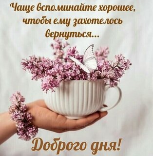 chashhe-vspominajte-xoroshee-chtoby-emu-zaxotelos-vernutsya.jpg?z=191