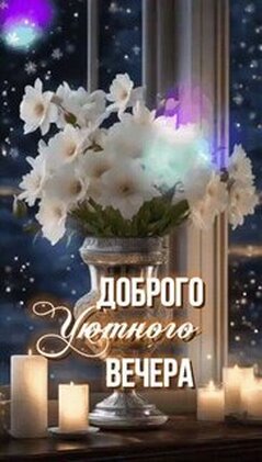 УРОК 6. ПОЗДРАВЛЕНИЯ (ДАЬКЪАЛВАР (ЯР)) | Свободен лишь тот, кто может позволить себе не лгать.