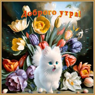 Женщины с котом