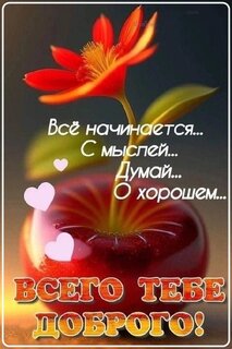 vsego-tebe-dobrogo.jpg?z=111