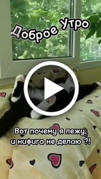 Самые смешные картинки мемы фото приколы shutok.ru » Картинки