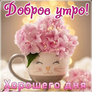 dobroe-utro.jpg?z=104