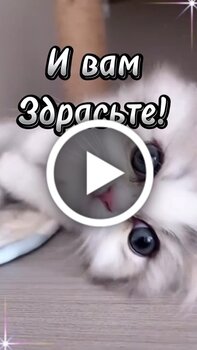 Открытки на все случаи жизни