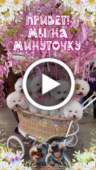 Открытки с днем работников морского и речного флота