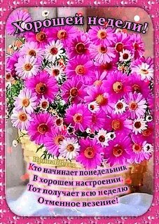 xoroshej-nedeli-kto-nachinaet-ponedelnik-v-xoroshem-nastroenii.jpg?z=124
