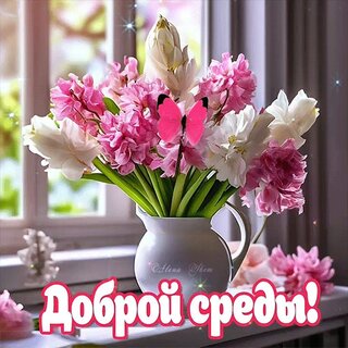 dobroj-vam-sredy.jpg?z=118